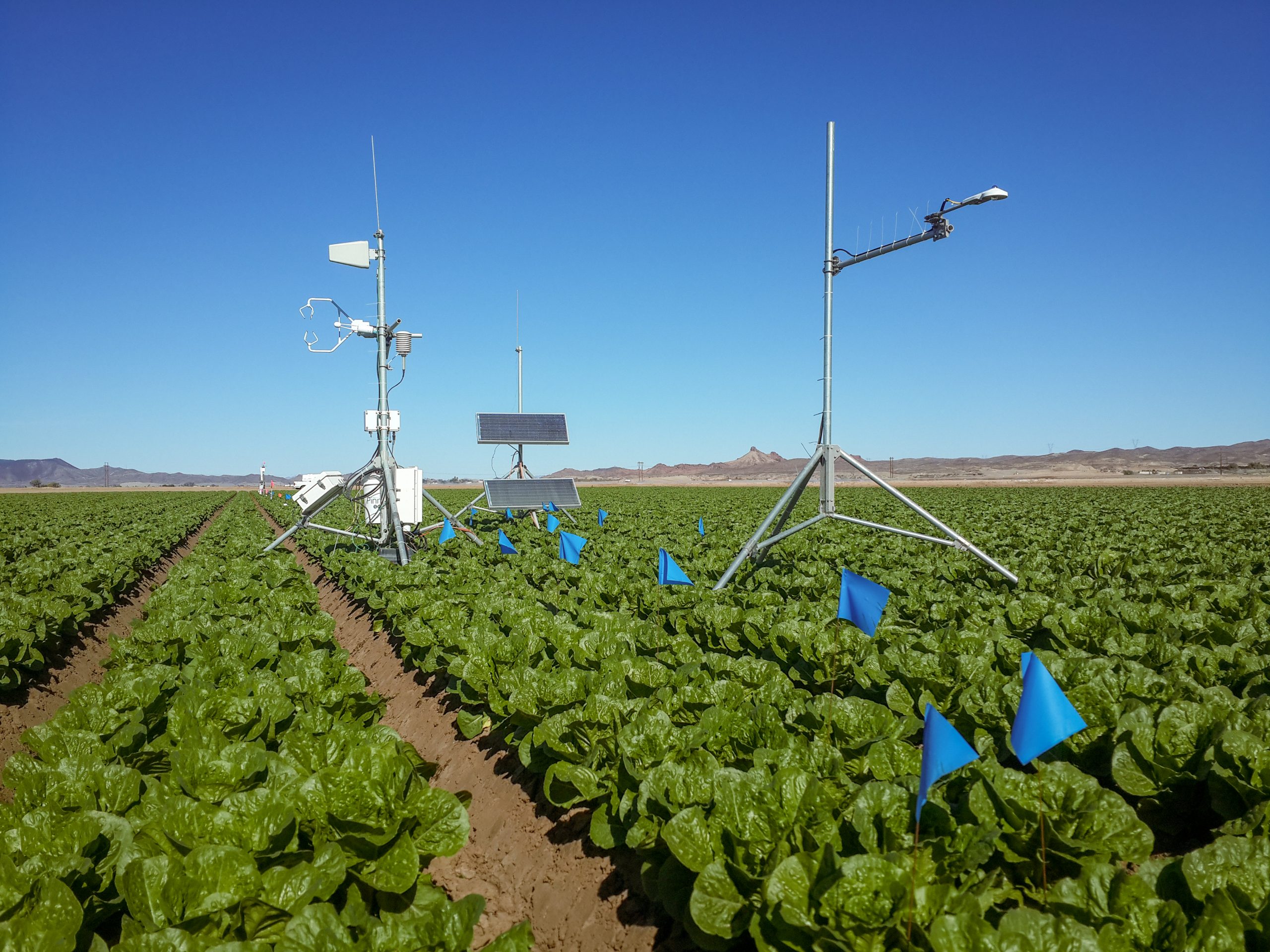 Agricultural field operations in Greater Yuma, Arizona