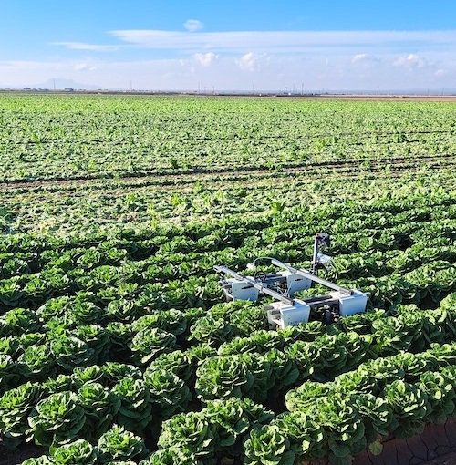 Axis Ag agricultural technology operating in a field in Greater Yuma, Arizona